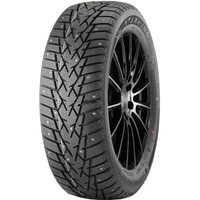 DoubleStar 215/65R16 98T Winterking DW01