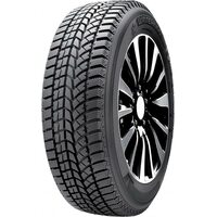 DoubleStar 205/55R16 91T Winterking DW02